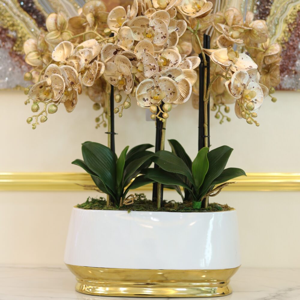 goldish orchid 6 stalks (gold dot)