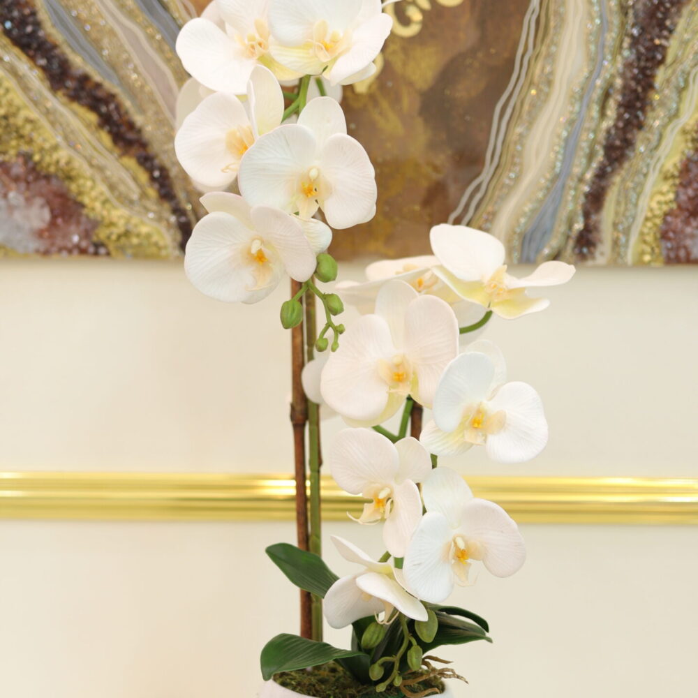 Matte Orchid 2 Stalks (White)