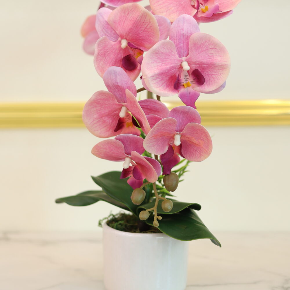 Matte Orchid 1 Stalk (Pink)
