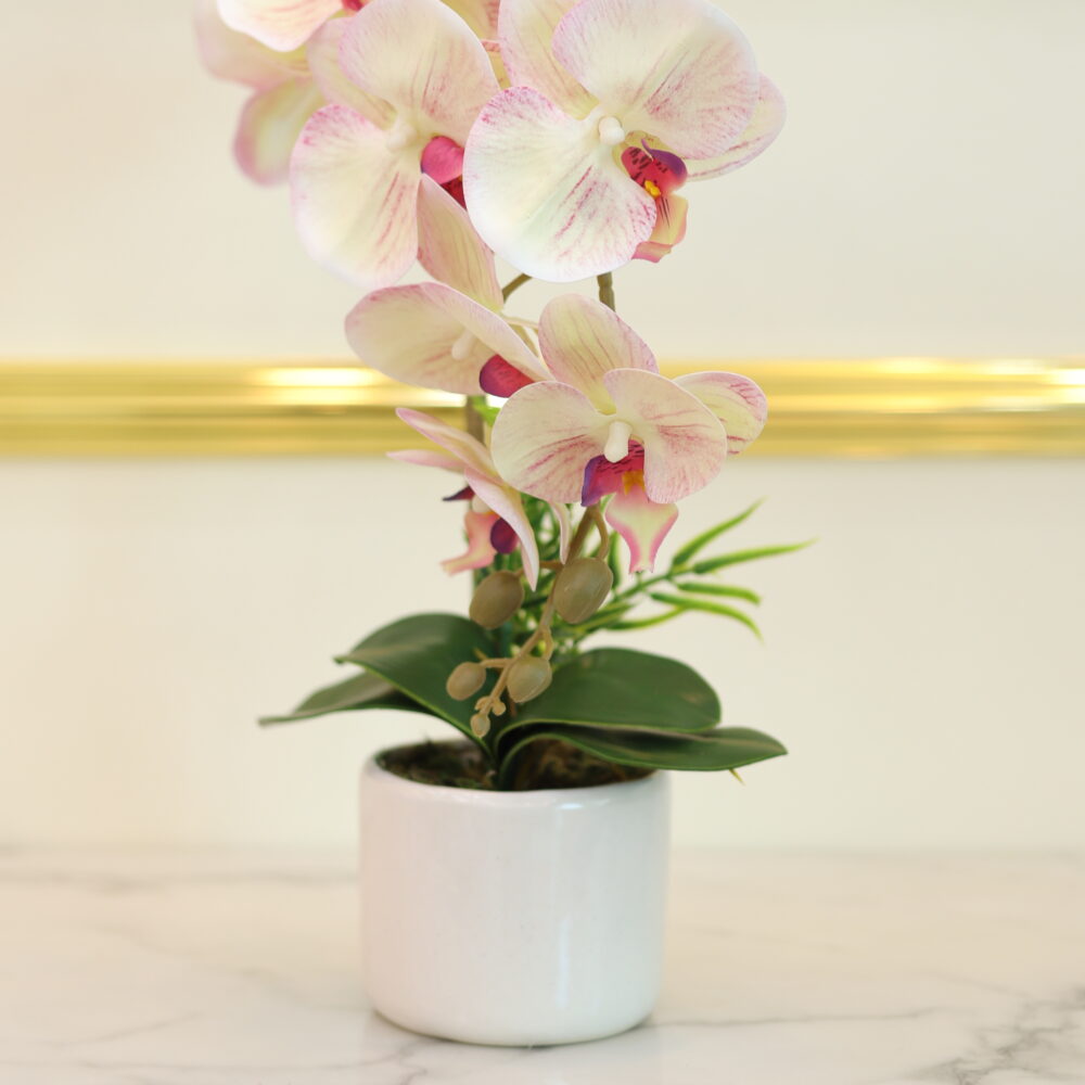 MATTE ORCHID 1 STALK (WHITE & PINK BUDS)