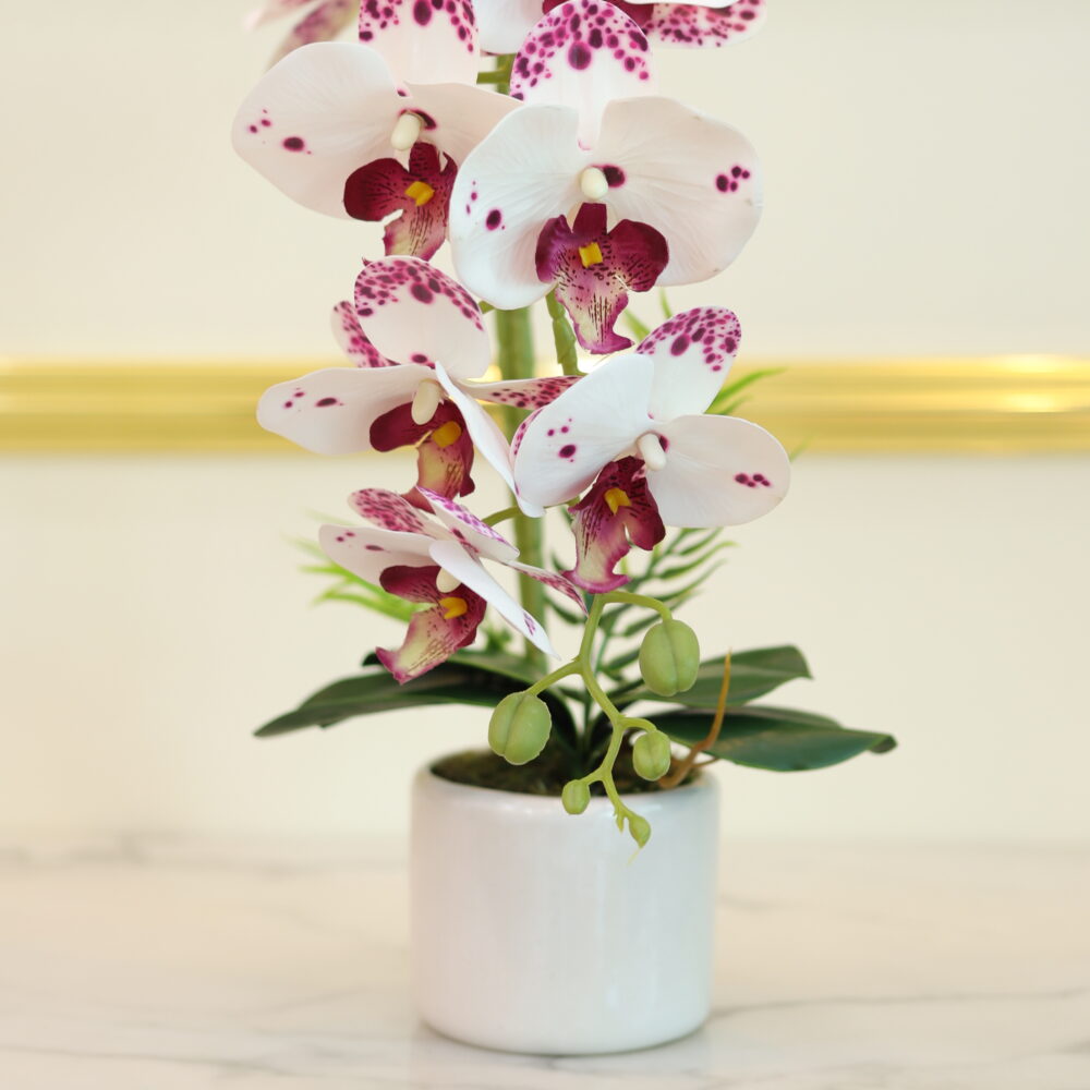 MATTE ORCHID 1 STALK (WHITE & PURPLE DOT)