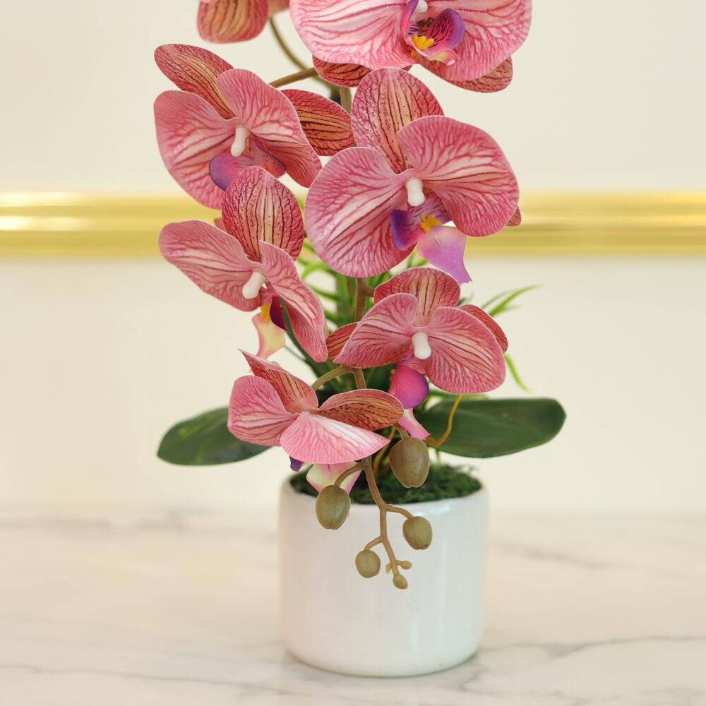 Matte Orchid 1 stalks (Vein Pink)