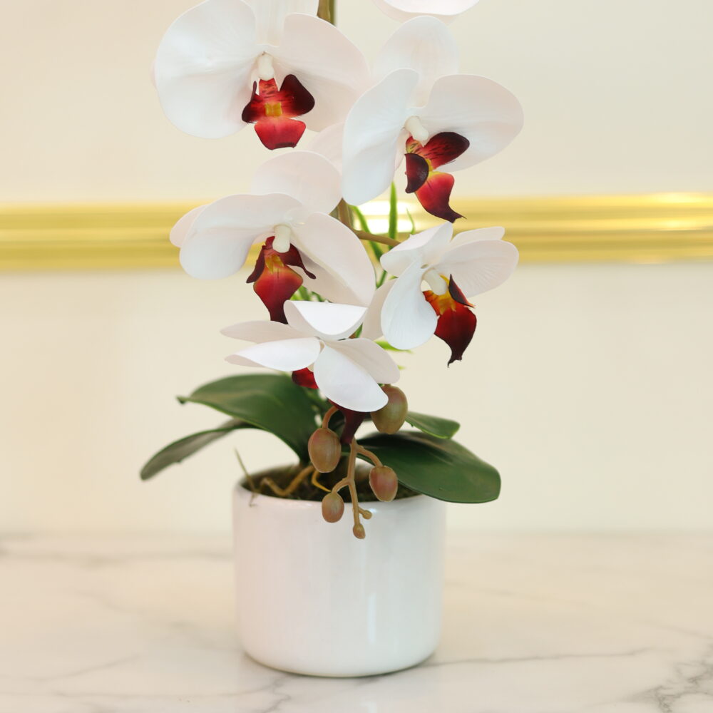 MATTE ORCHID 1 STALK (WHITE & RED BUDS)
