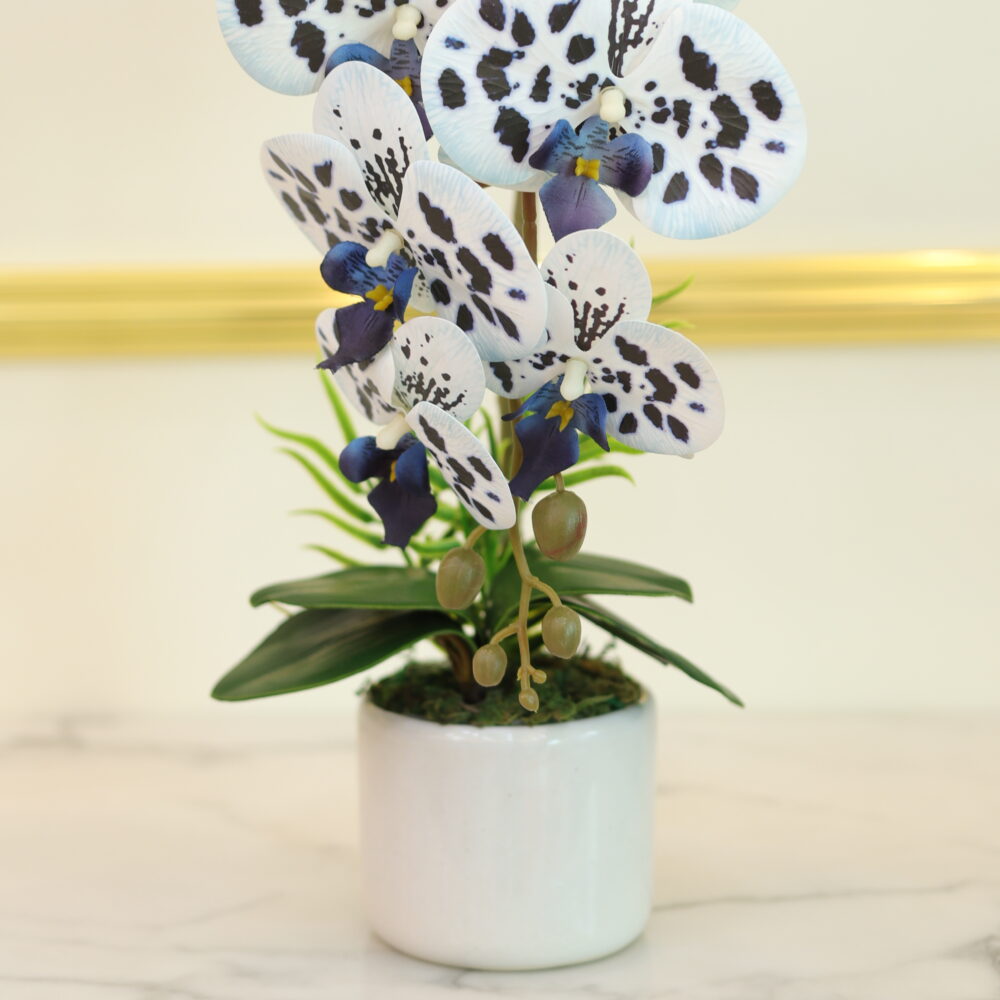 MATTE ORCHID 1 STALK (WHITE & BLUE DOT)