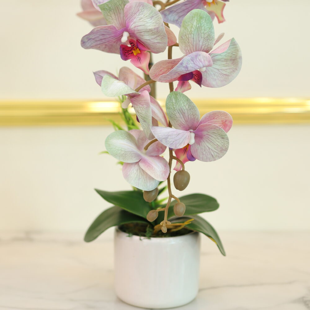 MATTE ORCHID 1 STALK (PADDLEPOP COLOR)