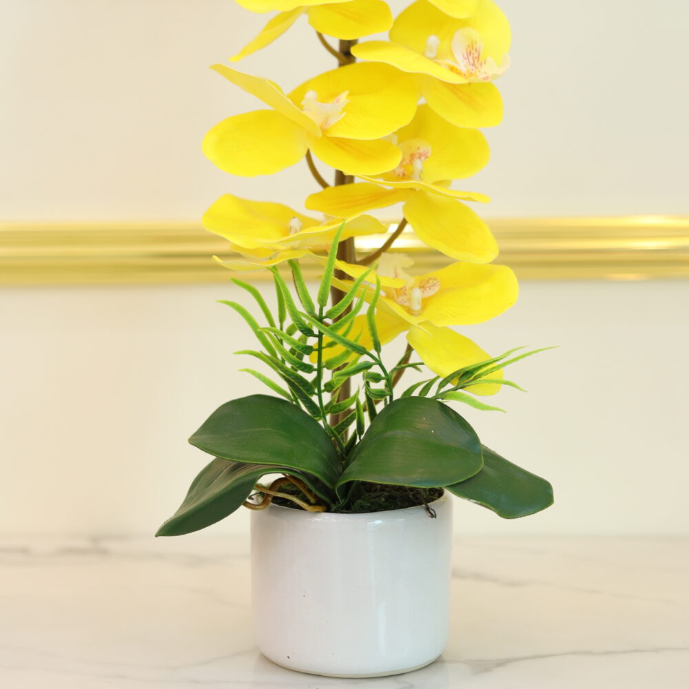 matte orchid 1 stalk (yellow)