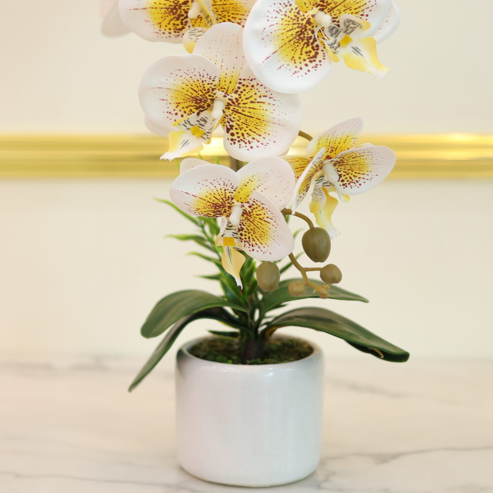 Matte Orchid 1 Stalk (White & Yellow)