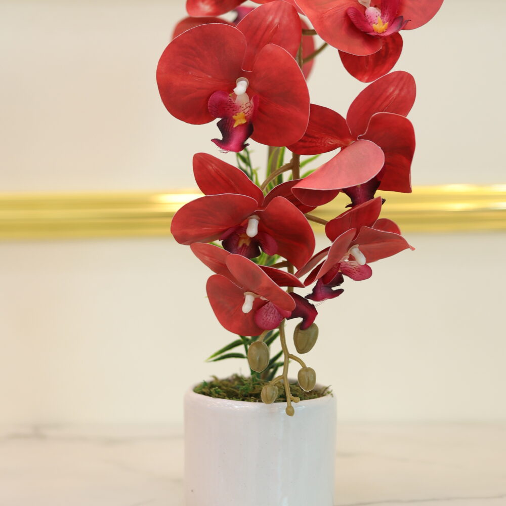 matte orchid 1 stalk (Red)