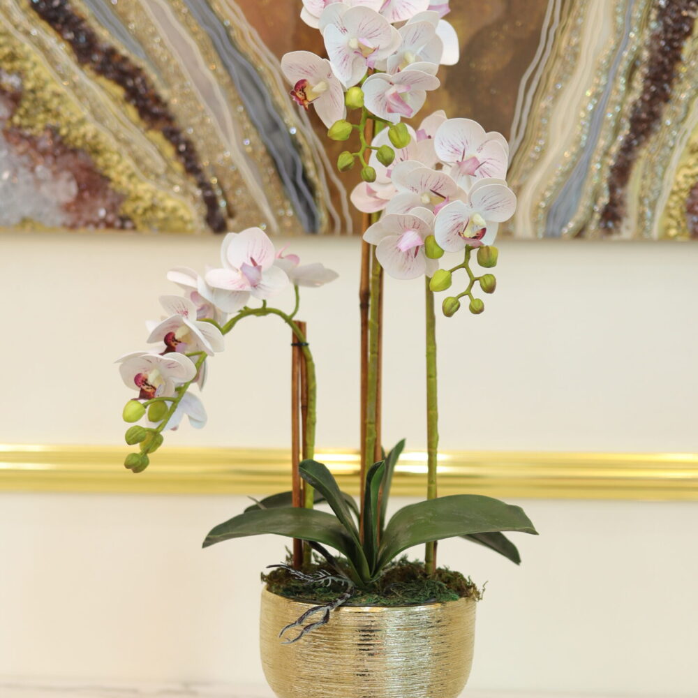 Mini Orchid 3 Stalks (White & Maroon Buds)