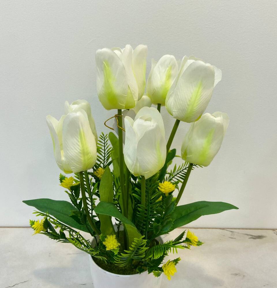 Mini Tulip Flowers (White Color)